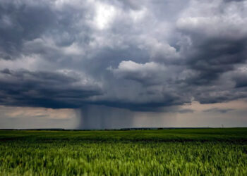 ¡Agárrate!: prevén lluvias y tormentas eléctricas en varias entidades del país