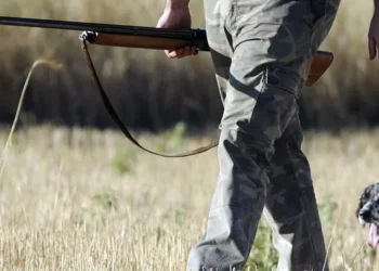 No puede ser: perro mata a su dueño con una escopeta