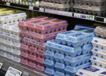 En EU, la docena de huevo alcanza los 4.80 dólares