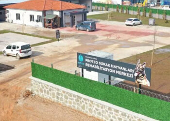 Centro de rehabilitación animal llevará el nombre de Proteo en Turquía