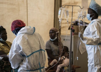 Brote de cólera deja 15 muertos en Sudáfrica