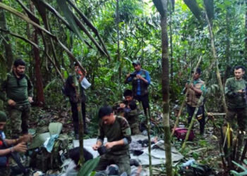 ¿Cómo lo hizo?: niña mantuvo vivos a sus 3 hermanitos por 40 días en la selva