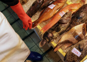 Hong Kong prohibirá importación de productos marinos de Japón si libera agua radiactiva