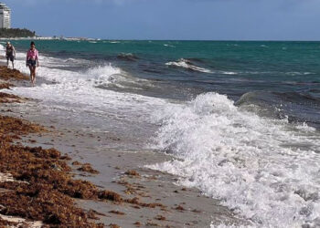 Reportan 5 muertes por ‘bacteria come carne’ en playas de Florida