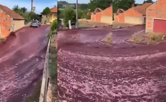 VIDEO. Vino inunda calles tras explosión de tanques en viñedo de Portugal