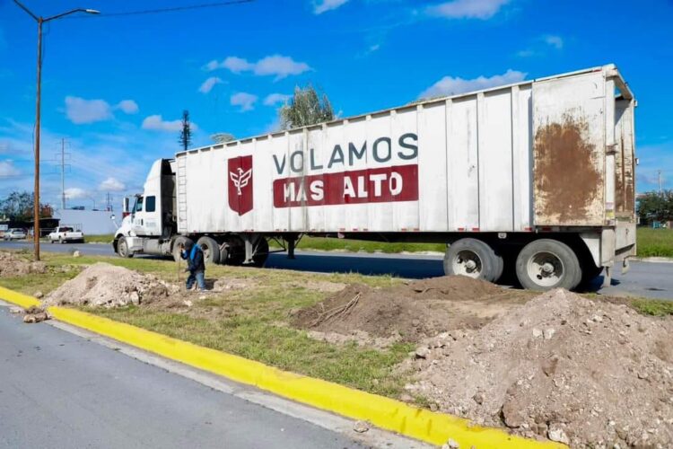 Impulsa Alcalde Carlos Peña Ortiz plantación de olivos para reforestar Reynosa