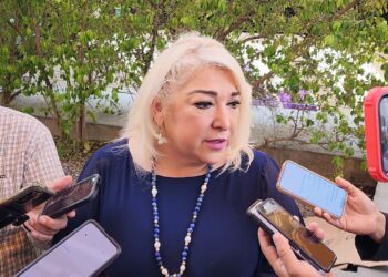 Descuento del 75% en recargos de control vehicular durante febrero: Adriana Lozano