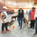 El rector de la UAT inaugura curso de adiestramiento canino K-9