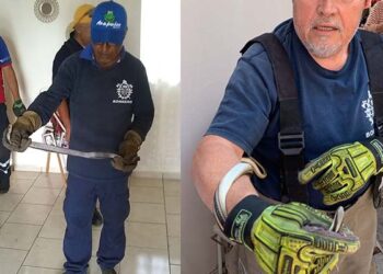 Emite PC de Victoria recomendaciones para evitar picaduras de animales ponzoñosos