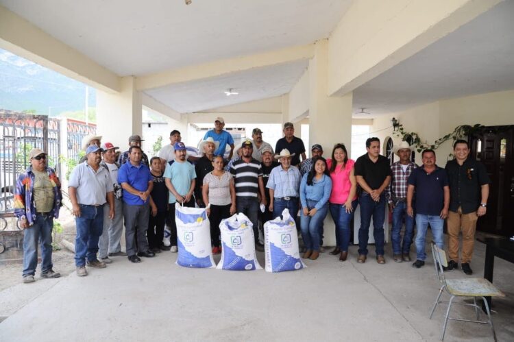 Impulsan siembra de avena forrajera en Miquihuana