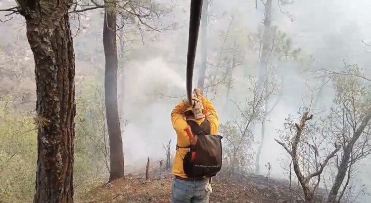 Rayo habría provocado incendio forestal en El Cañón del Novillo en Ciudad Victoria