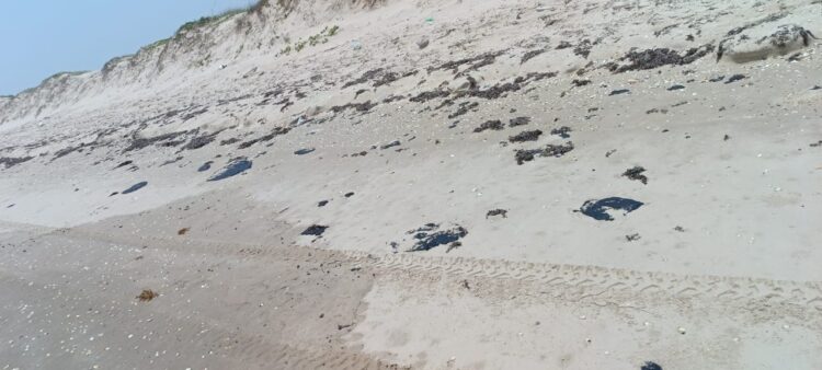 Investiga Procuraduría Ambiental y Urbana presencia de hidrocarburo en playa Miramar y Tesoro