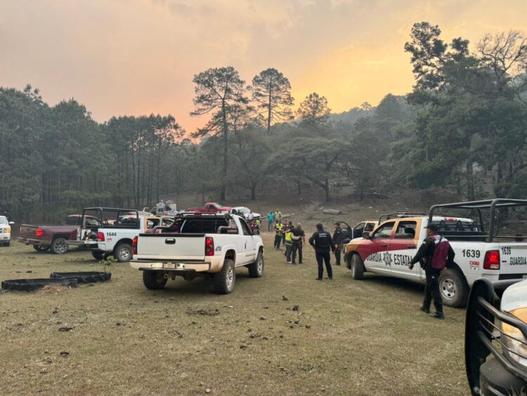 Plan Tamaulipas persiste en combate de incendio forestal en “La Chona”