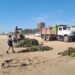 Apoya Turismo en  retiro de lirio de playa Miramar