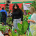 Nuevo Laredo invita a una nueva edición de Expo “Tu Jardín y Artesanías”
