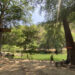 Turismo en Tamaulipas