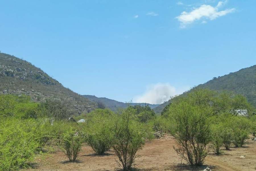 incendio forestal