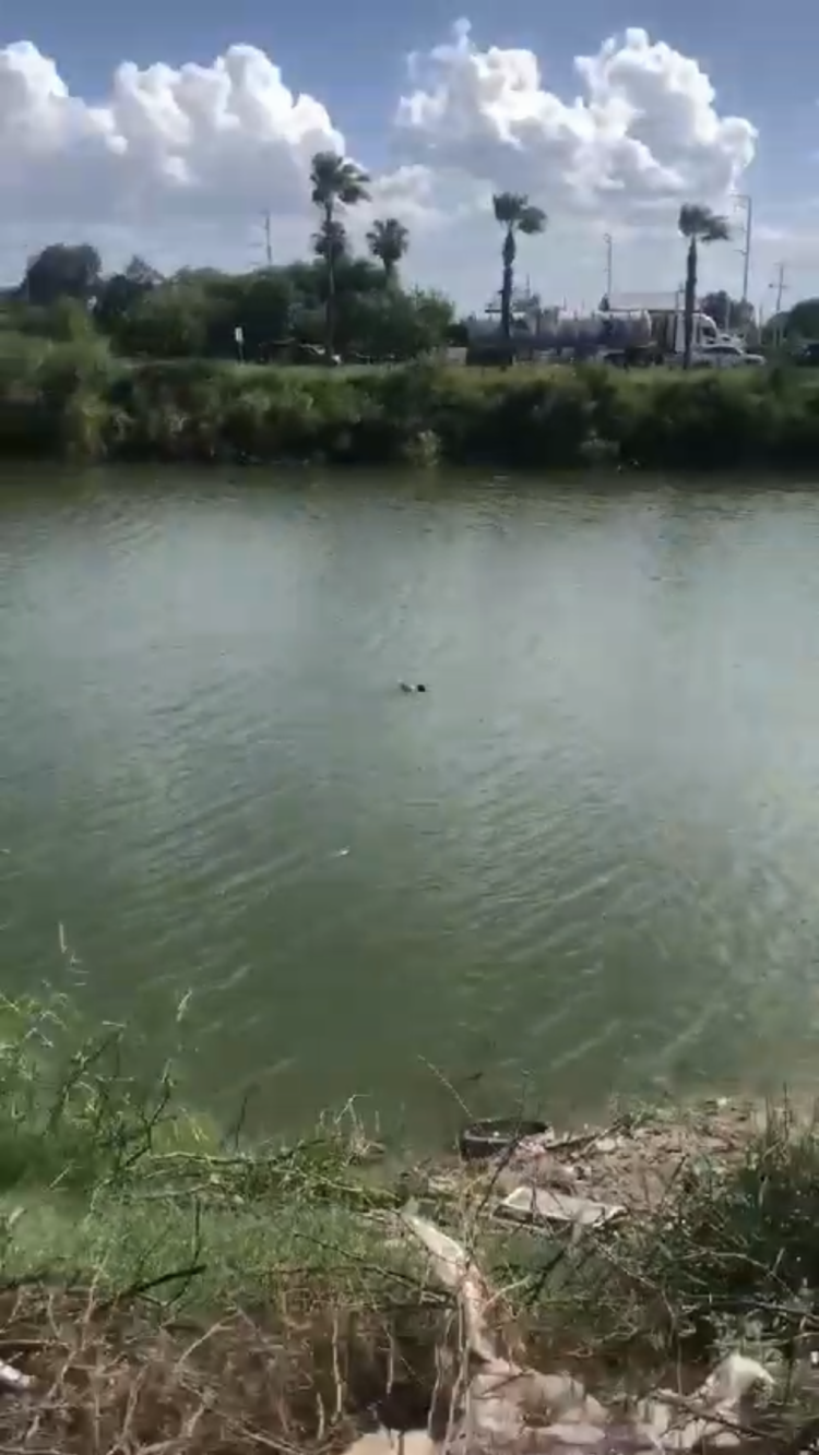 Cuerpo de Hombre Flota en el Canal Anzaldúas Cerca del Bulevar Colosio