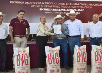 Reciben productores de Palmillas, Tamaulipas semilla de maíz