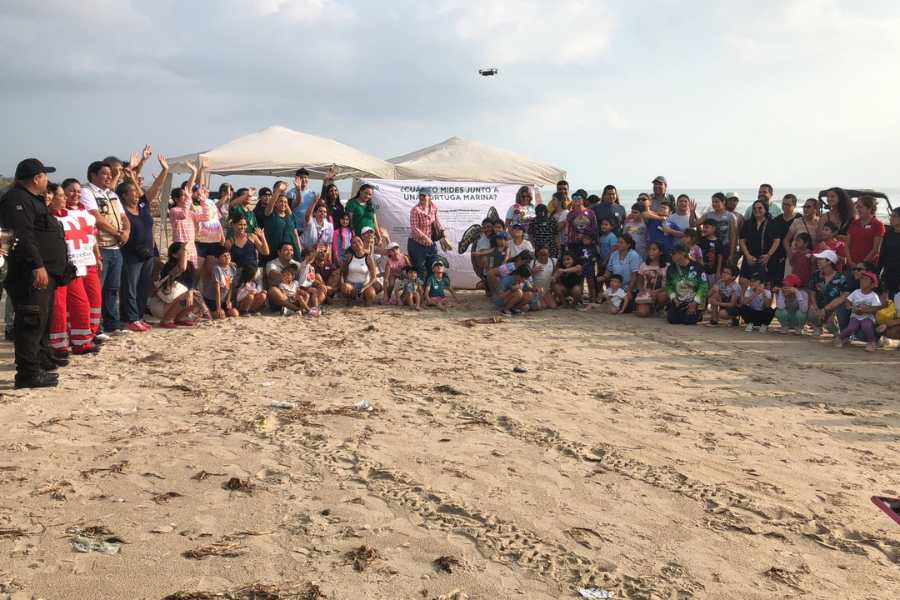 Liberación de tortugas en Playa Miramar