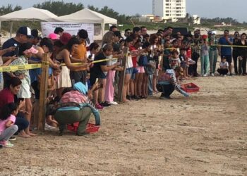 Liberación de tortugas en Playa Miramar