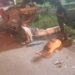 Volcadura en carretera Río Bravo-Reynosa deja un herido y pérdida de unidad motriz