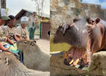 Abrirán Zoológico y Acuario de Nuevo Laredo en día de asueto; entrada será gratis