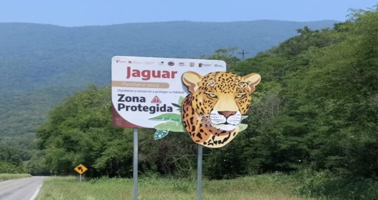 Coloca Comisión de Parques señalética para evitar atropellamientos de fauna en Tamaulipas