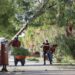 Limpia el municipio parque la rotonda y algunos otros espacios de recreación para las familias