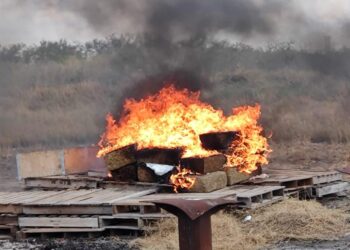 En 8ª Zona Militar: Queman Mota y Coca decomisada