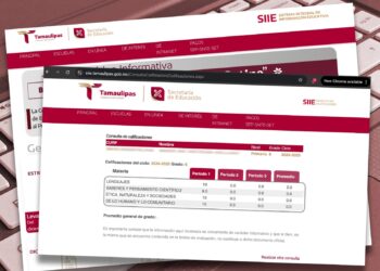 Ya puedes consultar calificaciones de educación básica en línea