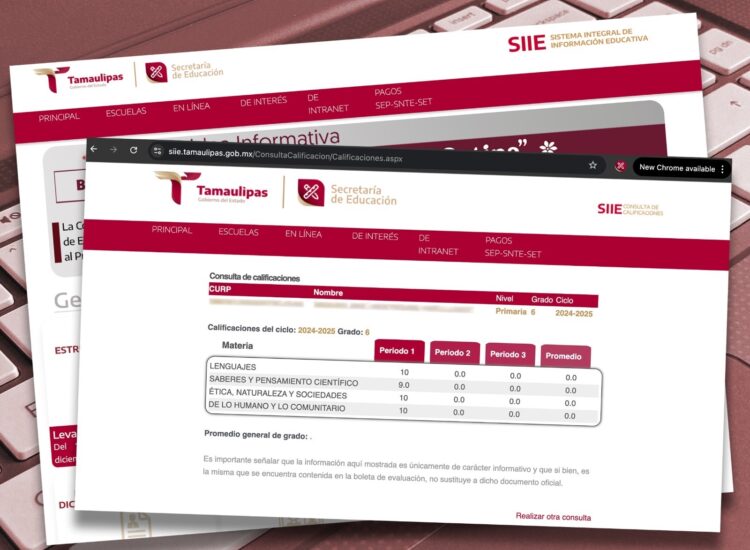 Ya puedes consultar calificaciones de educación básica en línea
