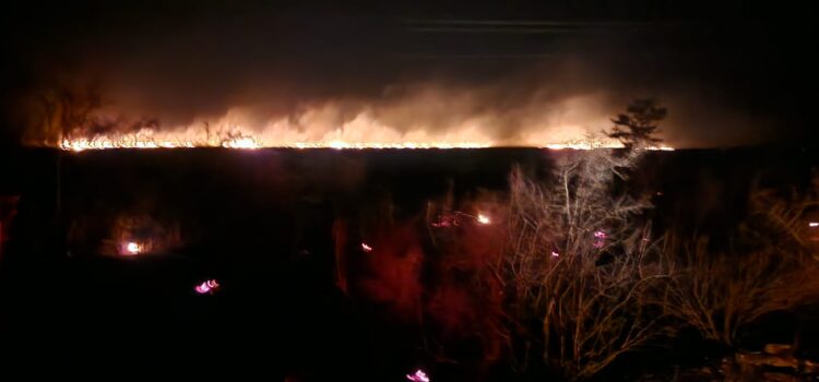 Guardia Estatal activa Plan Tamaulipas en Jiménez por incendio forestal