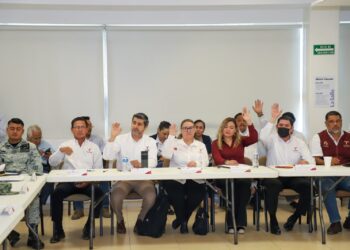 Define Comité de Salud estrategias para mitigar daños a la salud en Tamaulipas