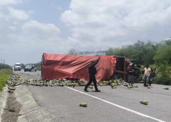 Vuelca tráiler cargado  de piñas en Carretera Victoria-Monterrey