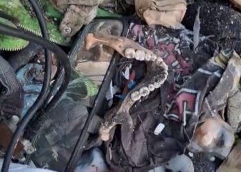 En Reynosa: Encuentran Restos Óseos en las Calicheras
