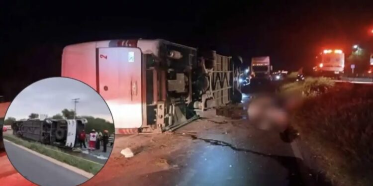 Trágico Accidente de Autobús en Hualahuises Deja 11 Muertos y Varios Heridos