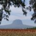 Analiza Tamaulipas estrategias para fortalecer el turismo en comunidades rurales