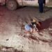 En Reynosa: Cansados de robos en Valle Soleado; vecinos matan a golpes a ladrón