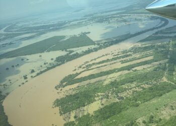 ¡Alerta por  cresta del río Pánuco!:  Ya pasó por Pánuco y se dirige hacia el sur de Tamaulipas