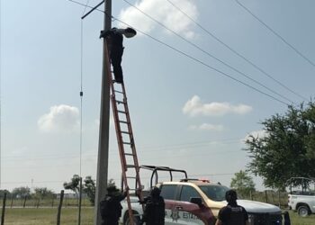 En Abasolo: Guardia Estatal asegura cámara de seguridad