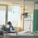 En Tampico: Mapaches invaden unidades hospitalarias