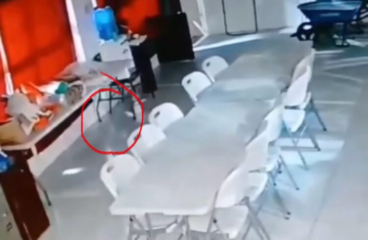 Humanoide en Escuela de Xicoténcatl camina aula atravesando sillas y mesas