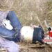 En Reynosa: Cuerpo de mujer es encontrado en avanzado estado de descomposición; podría tratarse de Sahamara Denice Ramos