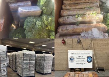 Aseguran 157 kilos polvo blanco que usan para la nariz en Puente Internacional Pharr, Tx