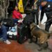 En Tamaulipas: Con perros policía; Guardia Estatal busca drogas en central de autobuses