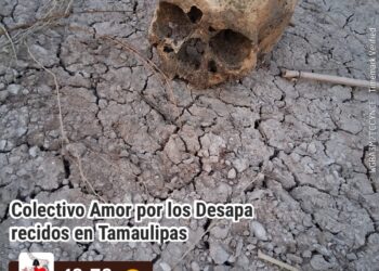 En Reynosa: Restos humanos son encontrados en Palo Blanco por Colectivo de búsqueda