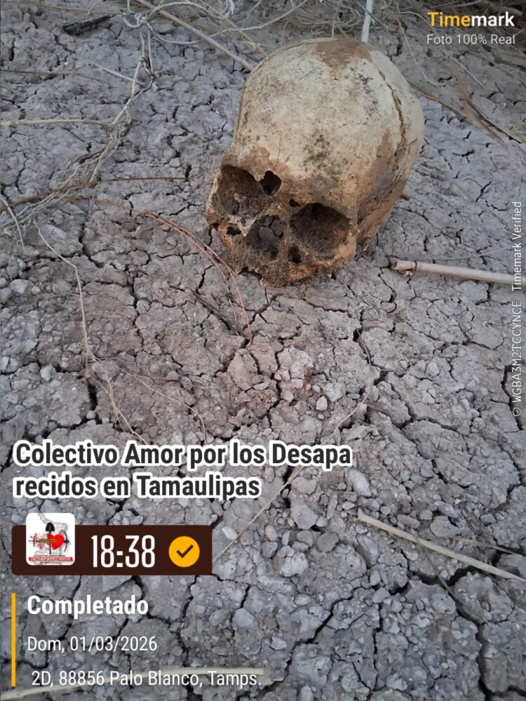 En Reynosa: Restos humanos son encontrados en Palo Blanco por Colectivo de búsqueda