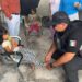 En Reynosa: Niñas de dos y cinco años sufrían violencia física por su padres, a una la tenían encadenada en Balcones