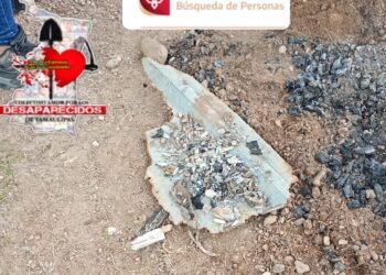 Restos óseos humanos son encontrados por Colectivo en Miguel Alemán